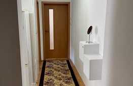 Apartament 2 camere decomandate, zona Blascovici