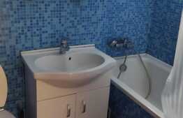 Apartament de 3 camere pet friendly, zona Complexul Studentesc