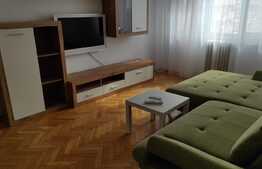 Apartament de 3 camere pet friendly, zona Complexul Studentesc