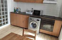 Apartament de 3 camere pet friendly, zona Complexul Studentesc