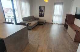 Apartament de 2 camere, 70 mp, pet friendly, in Dumbravita
