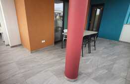 Apartament de 2 camere, 70 mp, pet friendly, in Dumbravita