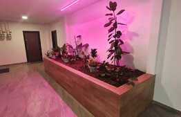 Apartament de 2 camere, 70 mp, pet friendly, in Dumbravita