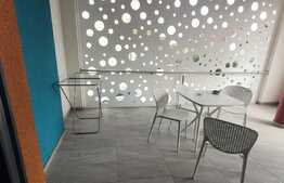 Apartament de 2 camere pet friendly, in Dumbravita