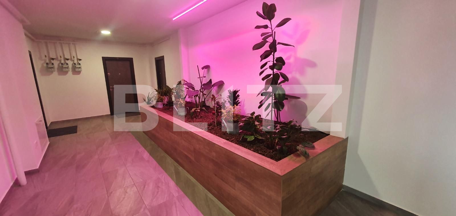 Apartament de închiriat 2 camere Exterior Nord - 81379AI | BLITZ Timișoara | Poza8