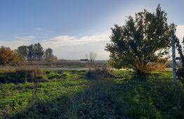 Ocazie investitii, teren 25100 mp la DN6 in Biled, jud. Timis!