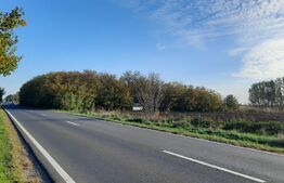 Ocazie investitii, teren 25100 mp la DN6 in Biled, jud. Timis!