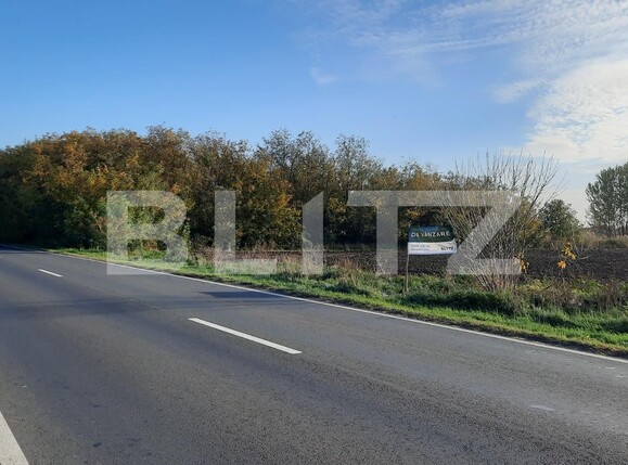 Teren de vânzare Exterior Vest - 81385TV | BLITZ Timișoara | Poza2