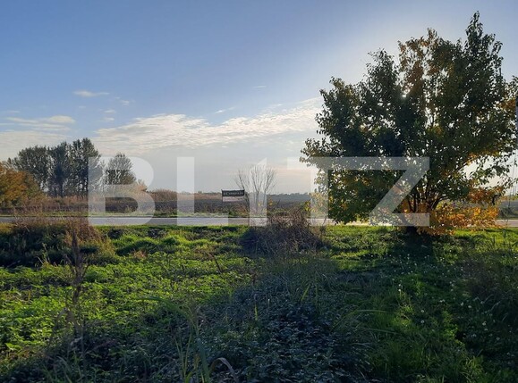 Teren de vânzare Exterior Vest - 81385TV | BLITZ Timișoara | Poza6