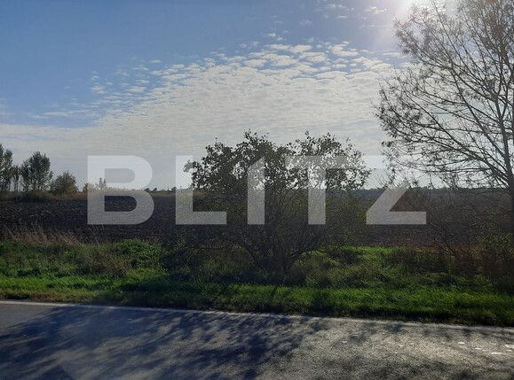 Teren de vânzare Exterior Vest - 81385TV | BLITZ Timișoara | Poza5