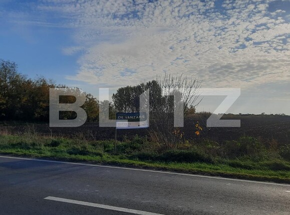 Teren de vânzare Exterior Vest - 81385TV | BLITZ Timișoara | Poza4