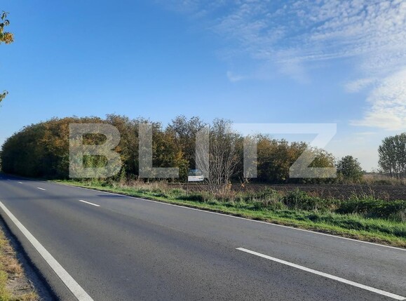 Teren de vânzare Exterior Vest - 81385TV | BLITZ Timișoara | Poza1