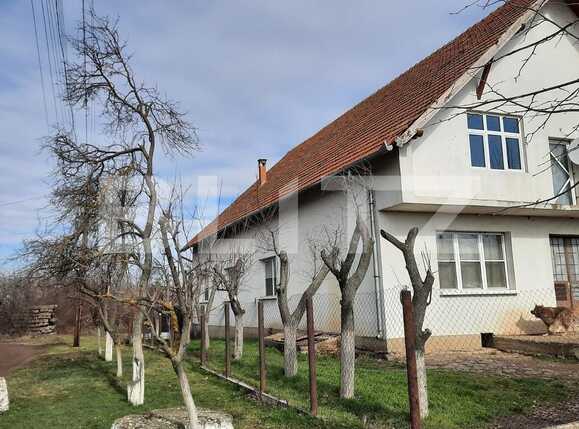 Casa de vânzare 4 camere Exterior Nord - 81419CV | BLITZ Timișoara | Poza12