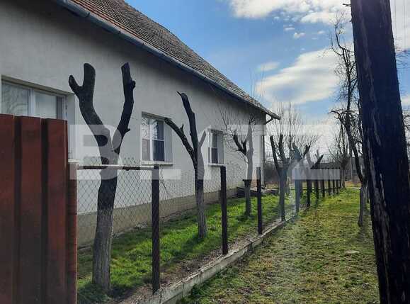 Casa de vânzare 4 camere Exterior Nord - 81419CV | BLITZ Timișoara | Poza3