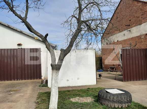 Casa de vânzare 4 camere Exterior Nord - 81419CV | BLITZ Timișoara | Poza5