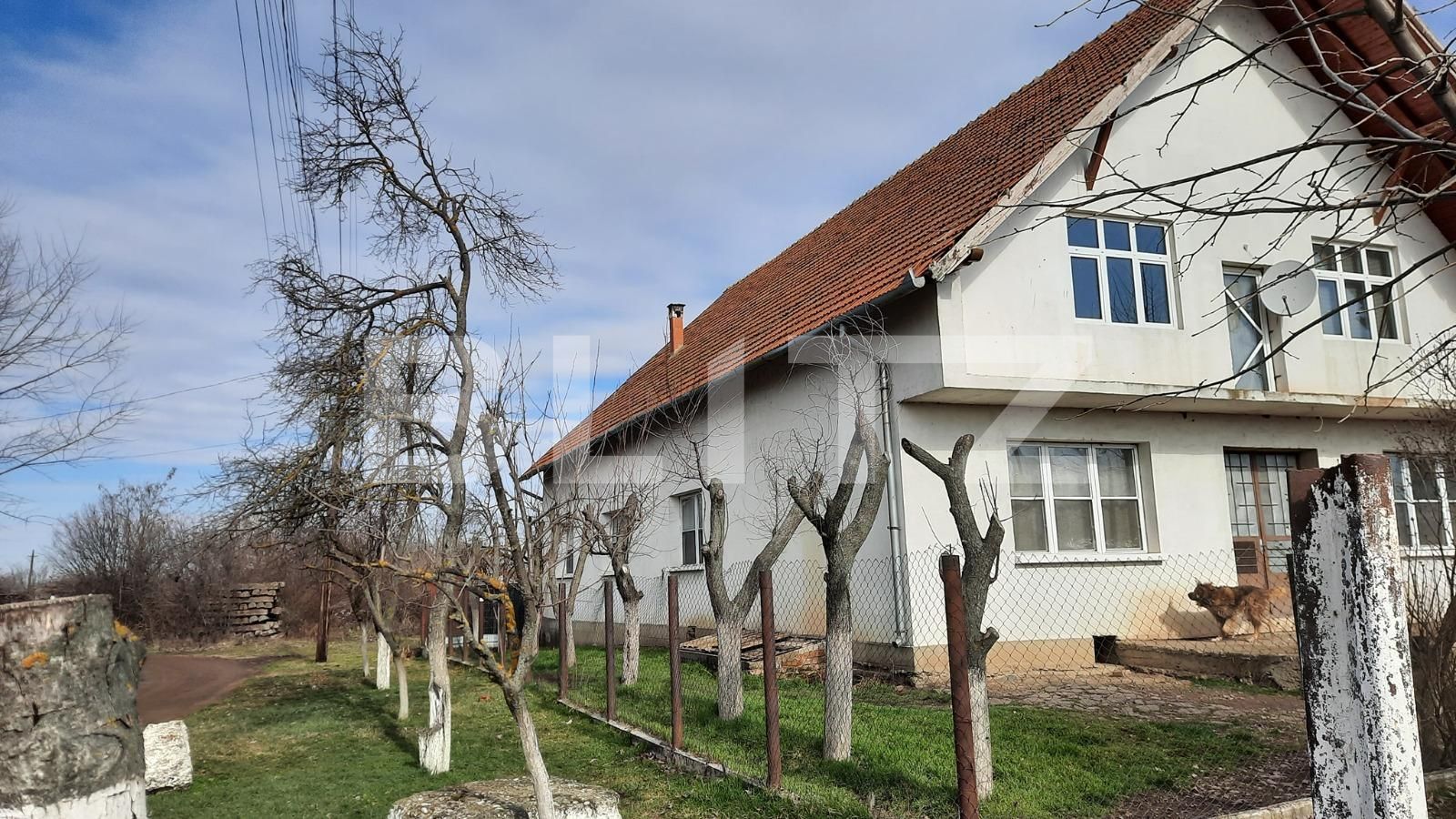 Casa de vânzare 4 camere Exterior Nord - 81419CV | BLITZ Timișoara | Poza12