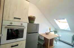 Apartament modern, 2 camere, zona Dumbravita