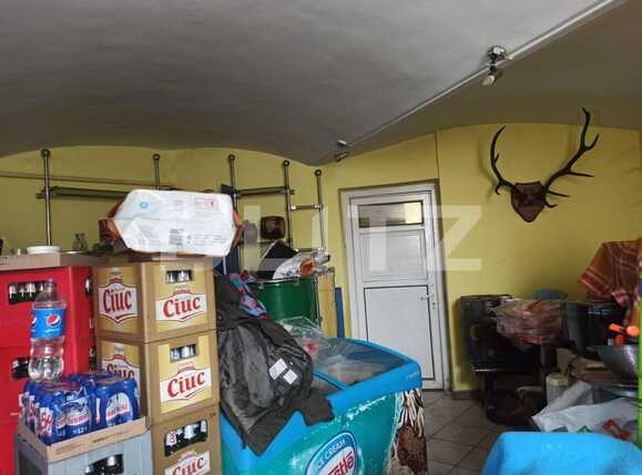 Spațiu comercial de vânzare Sinaia - 81617SVC | BLITZ Timișoara | Poza3