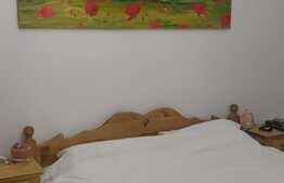 De vanzare casa tip duplex, 140 mp utili, teren 314 mp, Dumbravita