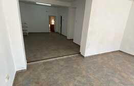 Spatiu comercial de 73 mp, zona Fabric