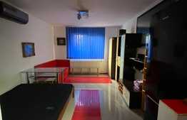 Garsoniera 21 mp, mobilat, zona Take Ionescu