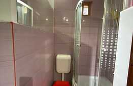 Garsoniera 21 mp, mobilat, zona Take Ionescu