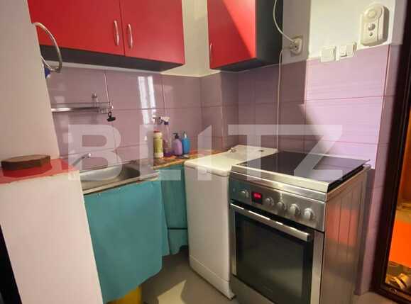 Garsonieră de vânzare Take Ionescu - 81825AV | BLITZ Timișoara | Poza4