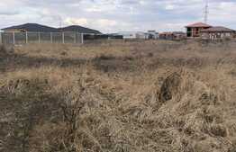 Teren intravilan 1026 mp, front de 17.5 ml, Mosnita Noua!