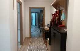 Apartament 3 camere, 69 mp, renovat integral, zona Aradului