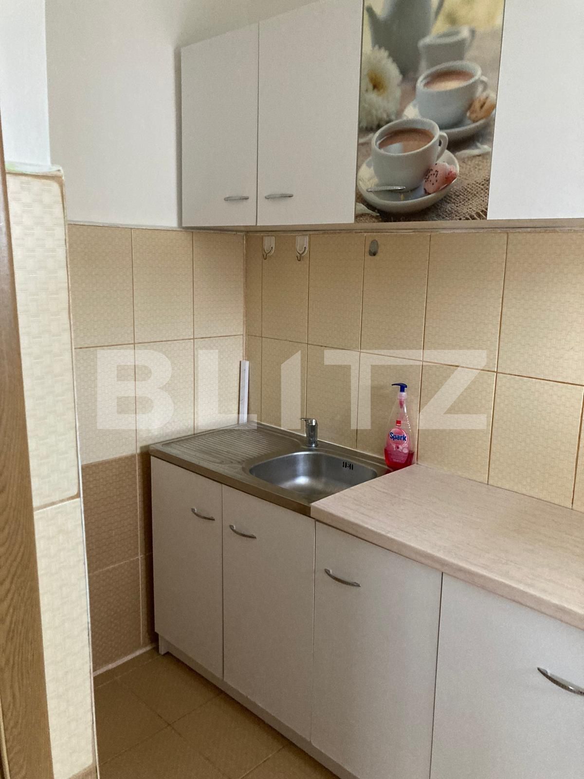Apartament de vânzare 2 camere Blascovici - 81909AV | BLITZ Timișoara | Poza6