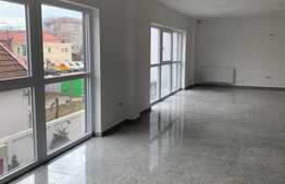 Spatiu comercial de 100 mp in zona Lipovei 