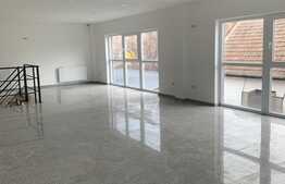 Spatiu comercial de 100 mp in zona Lipovei 