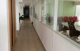 Spatiu comercial, 291 mp, zona Gheorghe Lazar