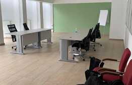 Spatiu comercial, 291 mp, zona Gheorghe Lazar