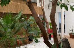 Spatiu comercial, 291 mp, zona Gheorghe Lazar