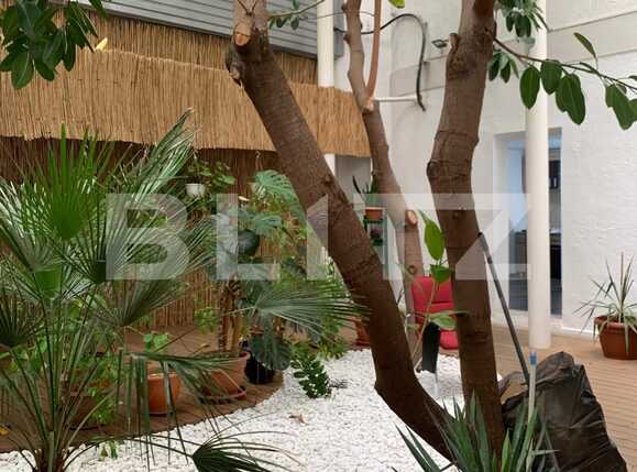 Spațiu comercial de închiriat Gheorghe Lazar - 81918SIC | BLITZ Timișoara | Poza4