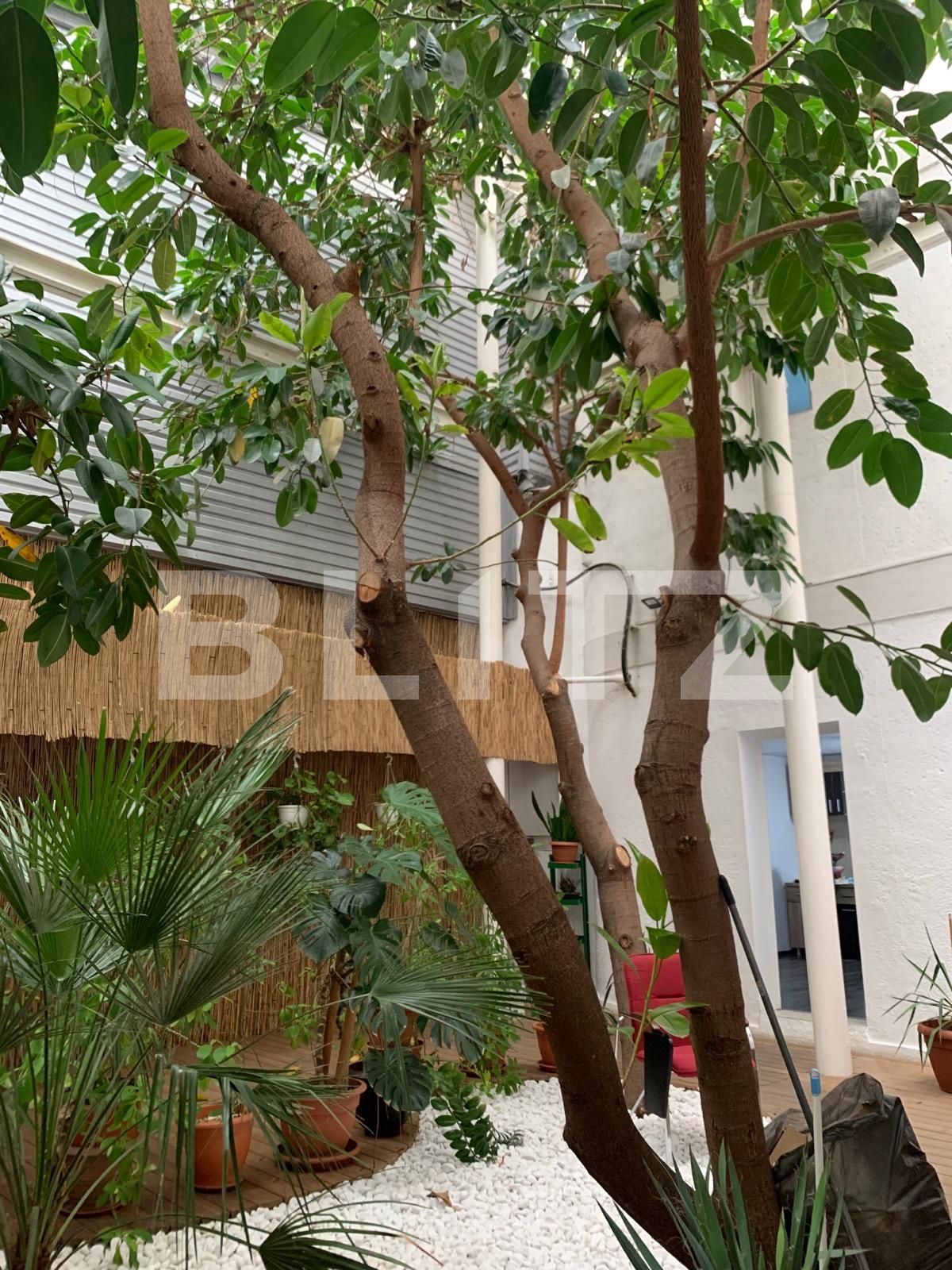 Spațiu comercial de închiriat Gheorghe Lazar - 81918SIC | BLITZ Timișoara | Poza5