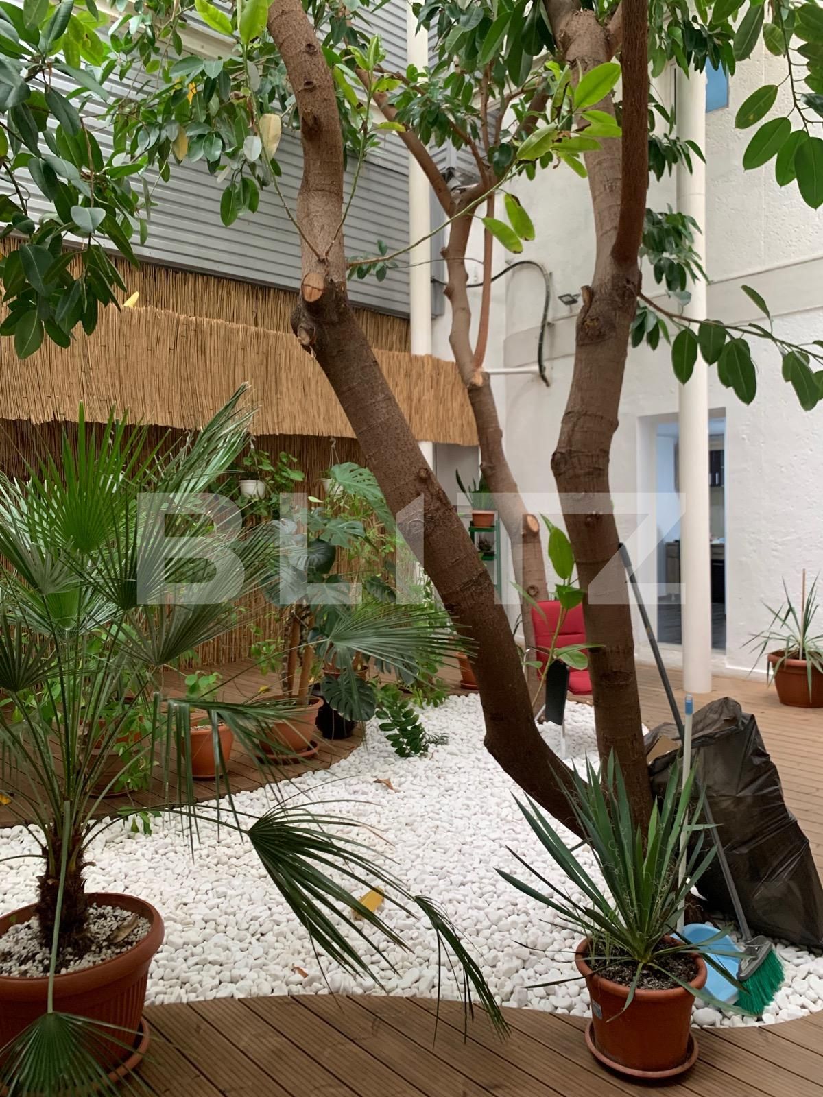 Spațiu comercial de închiriat Gheorghe Lazar - 81918SIC | BLITZ Timișoara | Poza4