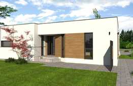 Duplex dispus pe un nivel, 3 dormitoare, 300 mp teren, Dumbravita