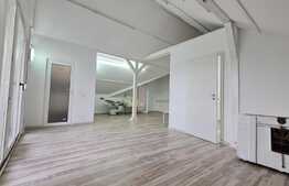 Oportunitate! Spatiu comercial 170 mp, pretabil clinica, cabinet medical!