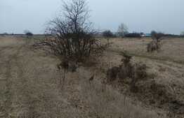 Oportunitate! Teren extravilan de vanzare, 8000 mp, la DN, Ghiroda!