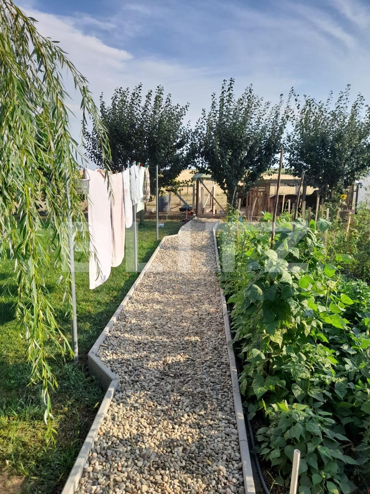 Casa de vânzare 4 camere Exterior Nord - 82122CV | BLITZ Timișoara | Poza7