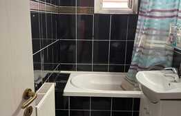 Apartament 2 camere, 56 mp, mobilat, zona Dambovita