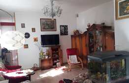 Casă cu suprafață utilă de 110 mp și teren de 415 mp la curte comună în Iosefin!