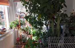 Casă cu suprafață utilă de 110 mp și teren de 415 mp la curte comună în Iosefin!