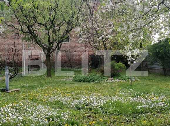 Casa de vânzare 4 camere Iosefin - 82378CV | BLITZ Timișoara | Poza10