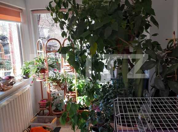 Casa de vânzare 4 camere Iosefin - 82378CV | BLITZ Timișoara | Poza6