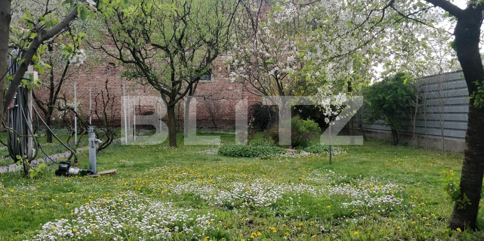 Casa de vânzare 4 camere Iosefin - 82378CV | BLITZ Timișoara | Poza10