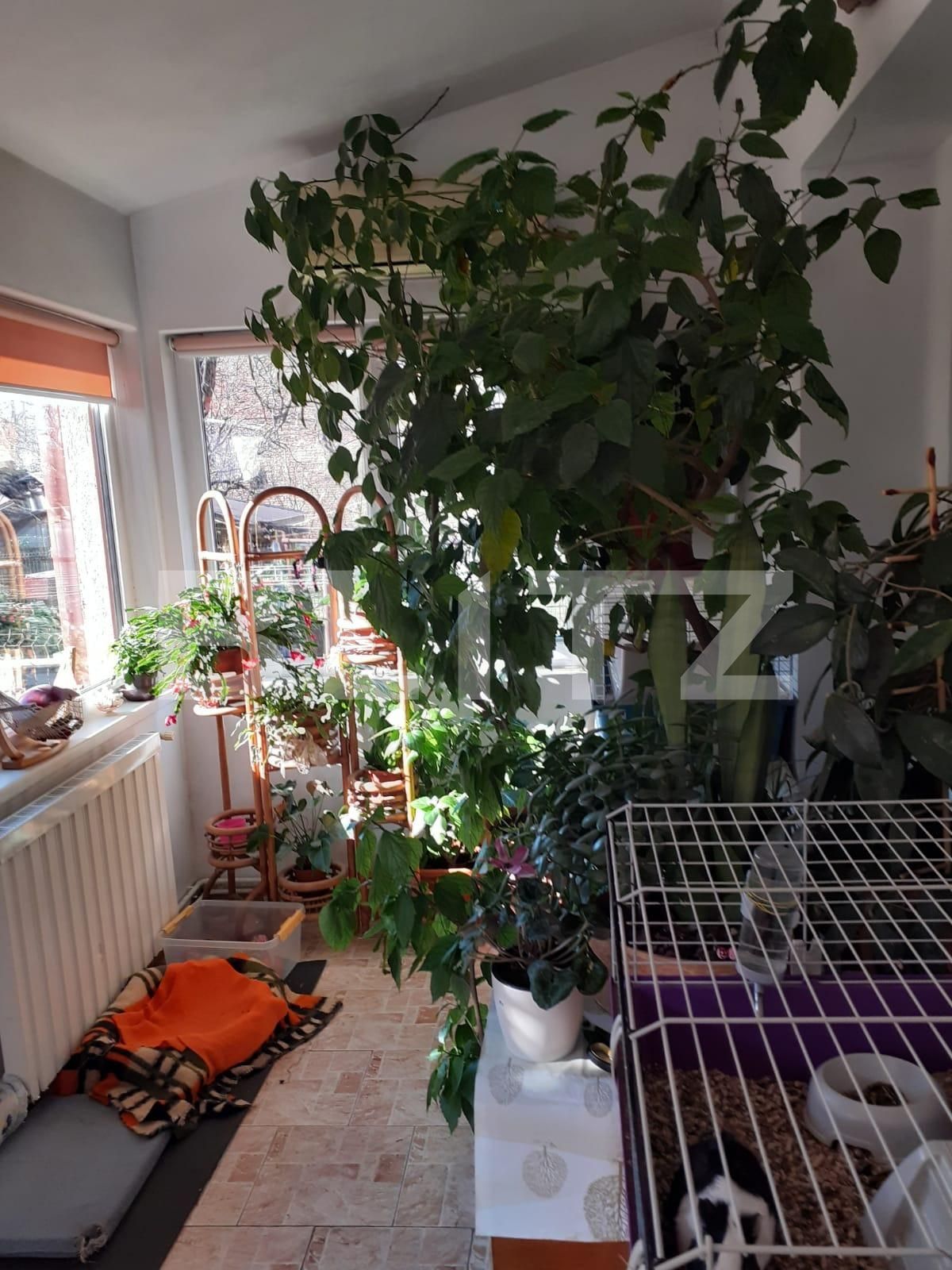 Casa de vânzare 4 camere Iosefin - 82378CV | BLITZ Timișoara | Poza6