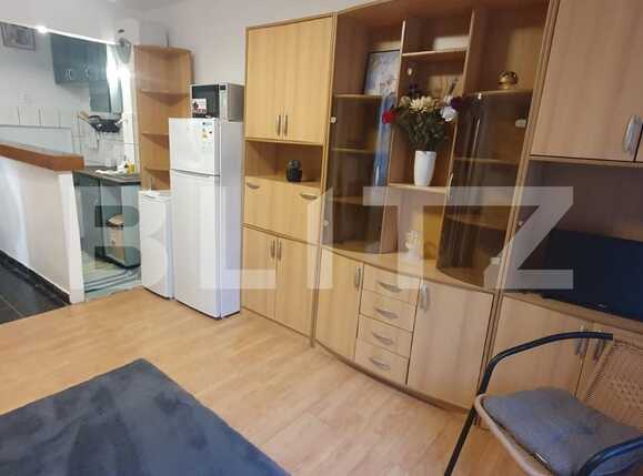 Garsonieră de închiriat Complex Studentesc - 82656AI | BLITZ Timișoara | Poza2
